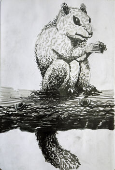 A Very Gray Squirrel, 2021, 15cm x 20.5cm, pens