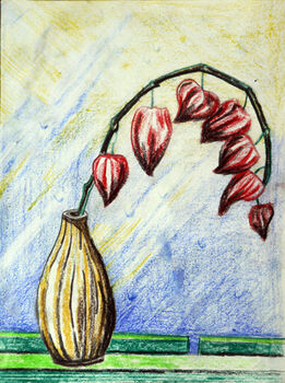 Chinese Lanterns, 15cm x 20.5cm, coloured pencils