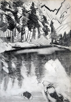 Copse, 2020, 15cm x 20.5cm, graphite pencil