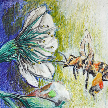 Feeling Waspish, 2021, 15cm x 15cm, coloured pencils