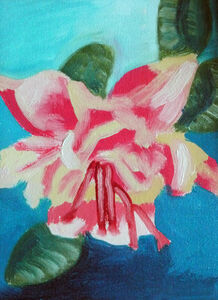 Fuschia, 2019, 18cm x 24cm, oil