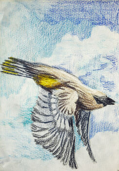 Give Me A Break, 2021, 15cm x 20.5cm, coloured pencils