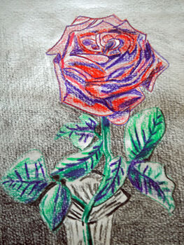 Old-English Tea Rose, 15cm x 20.5cm, coloured pencils