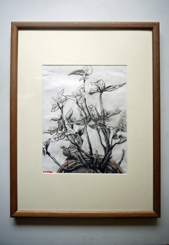 Plant Life, 2022, 29cm x 36.5cm, charcoal pencils