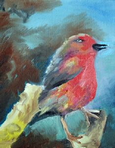 Robin, 2021, 20cm x 25.5cm, oil