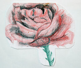Rose, pastel pencils, 8.5cm x 9.5cm