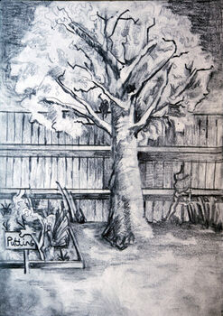 Skene Garden 01, 2020, 15cm x 20.5cm, graphite pencil