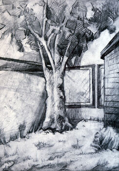 Skene Garden 04, 2020, 15cm x 20.5cm, graphite pencil