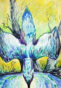 Swooping Kingfisher, 2021, 15cm x 20.5cm, coloured pencils