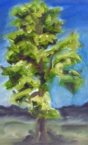 Tall Tree, 17.5cm x 25cm, oil