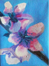 apple blossom, oil on canvas, 18cm x 24cm