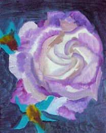 mauve and white rose, oil on board, 8in x 10in