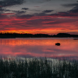 1090-Magenta and Gold dawn sky over Tumduff Loungh Boora Parklands Offaly Ireland