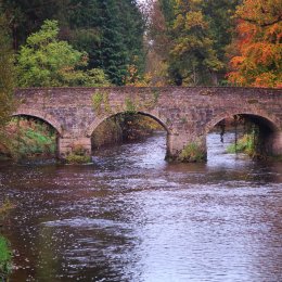 1151-The Brick Bridge Birr Castle Demesne Offaly