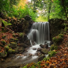 1152-Fernery Waterfall Birr Castle Demesne Offaly