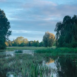 1154-Lagoon Garden Birr Castle Demesne Offaly