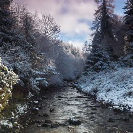 1155 Glenregan Winter Slieve Bloom Mountains Offaly
