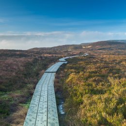1160-Slieve Bloom Way Ridge of Capard Laois
