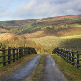 1164-Glendelour Slieve Bloom Mountains Laois