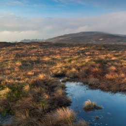 1173-Dawn on Ridge of Capard Slieve Bloom Mountains Laois