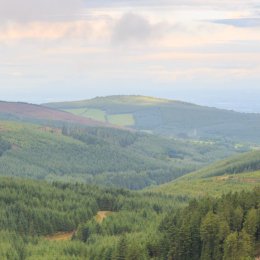 1174-Knocknaman Slieve Bloom Mountains Offaly