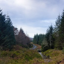 1182 Glenafelly Morining Slieve Bloom Mountains Offaly