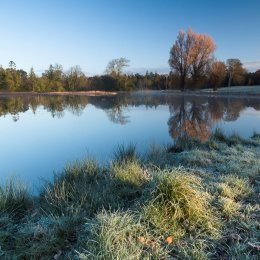 1188-Lake at Dawn Birr Castle Demesne