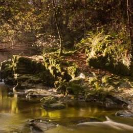 1194-Silver River Gorge Slieve Bloom Mountains Offaly