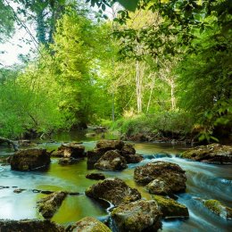 1207-River Clodiagh Tullamore Offaly Ireland