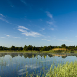 1217P-Turraun Lake Lough Boora Discovery Park Offaly Ireland