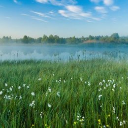 1222P-Turraun Wetlands Lough Boora Discovery Park Offaly Ireland