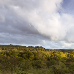 1225P-Spink and Barlahan Slieve Bloom Mountains Offaly Ireland