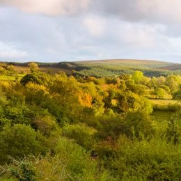 1227P-Barlahan Slieve Bloom Mountains Offaly Ireland