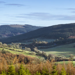 1242P-Forelacka Slieve Bloom Mountains Offaly Ireland
