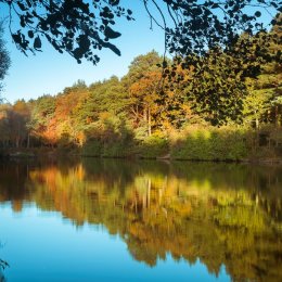 1243-Brittas Lake Clonaslee Laois Ireland