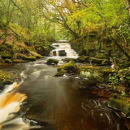 1263-The Catholes Cascades
