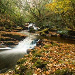 1267-The Catholes Autumn Afternoon