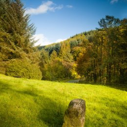 1294-Monicknew Afternoon