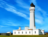 The Lighthouse