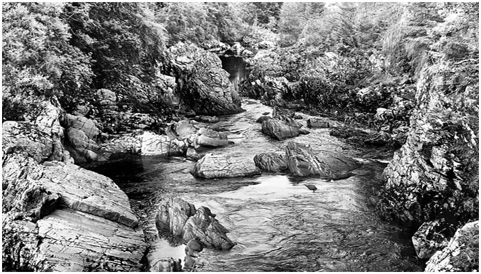 Randolph's Leap, by Forres