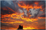 729 Fire in the Sky, ELGIN