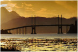 748  The Kessock Bridge