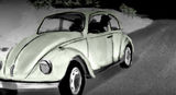 Beetle