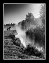 878  A Horse with no name