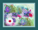 A54 - Flowery
