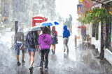 273 Downpour