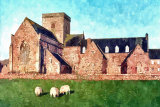 264 Iona