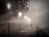 229 Night Walker