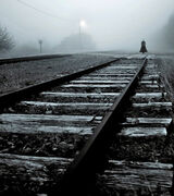 311 Down the Line