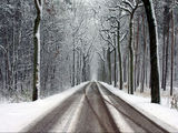 The Road to Aviemore